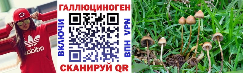 Псилоцибиновые грибы ЛСД  Звенигово 