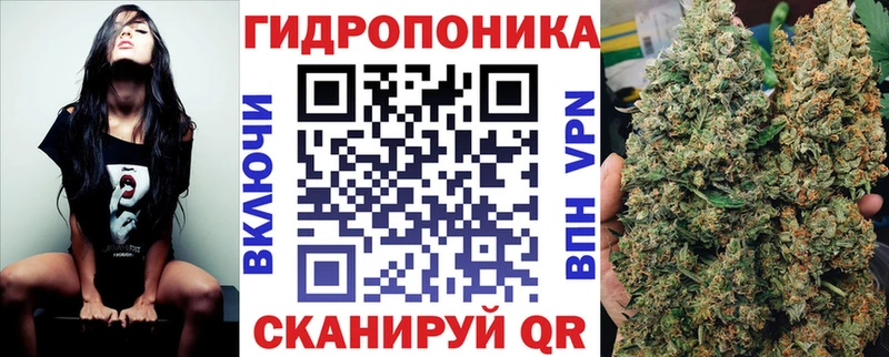 маркетплейс Telegram  Звенигово  Бошки марихуана ГИДРОПОН 